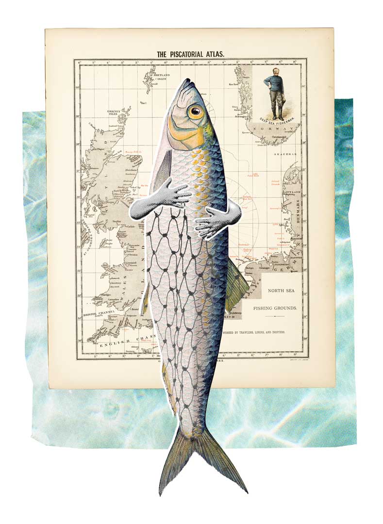 the one that didn’t get away the one that didn't get away - digital COLLAGE - PISCATORIAL ATLAS