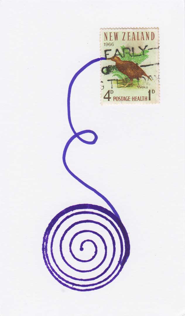 the early bird - collage