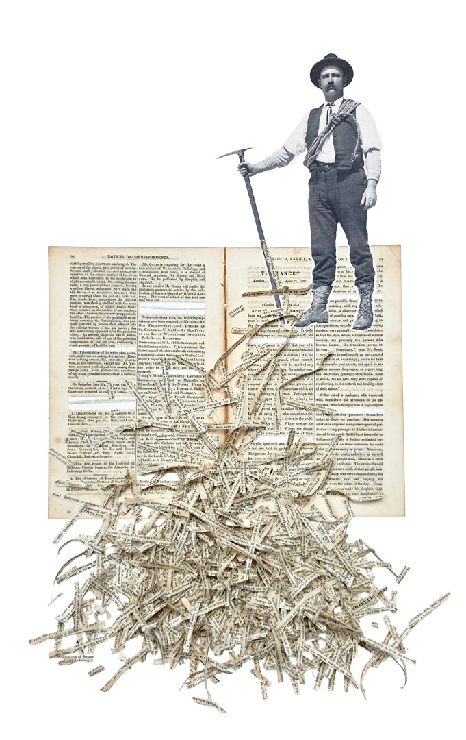 collage - the text miner - biomedical text mining